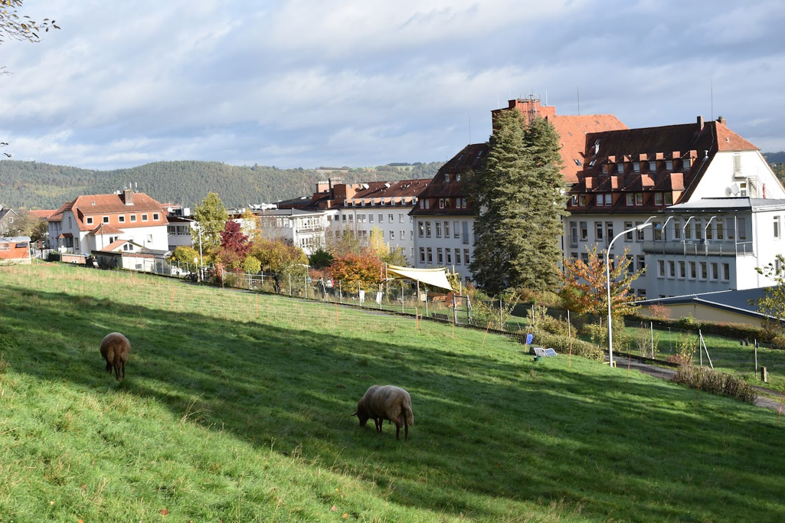diakonissen-mutterhaus-hebron-lebenspark-marburg
