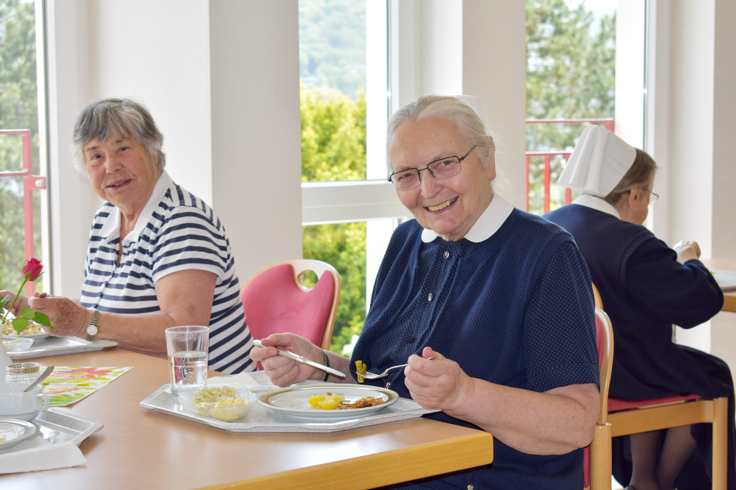 DGD-Netzwerk-Lebensparks